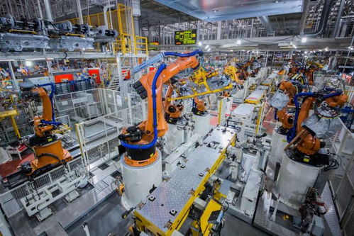 市政府常務會議 全力配合中央生態(tài)環(huán)保督察 加速數(shù)字貸工程風險補償資金發(fā)放